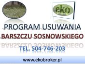 Program zwalczania barszczu Sosnowskiego, tel. 504-746-203, plan dla gmin